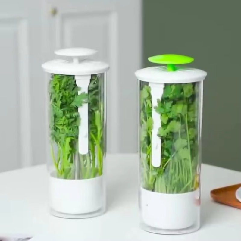 Kitchen Gadgets Organizer - Wadah Penyimpanan Herbal, Kotak Penyimpanan Sayuran